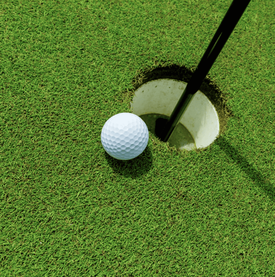 A golf course green grown with bent grass