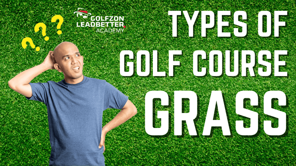 we talk about the different types of golf course grass