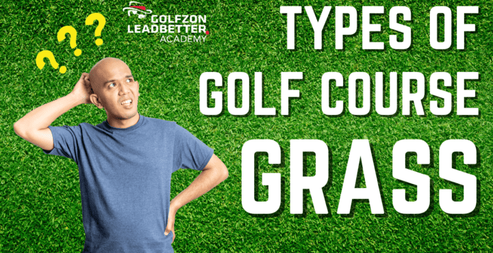 we talk about the different types of golf course grass